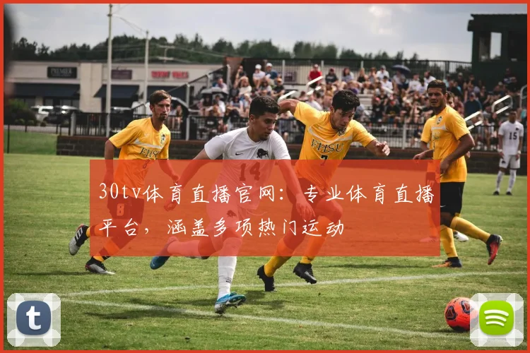 30tv体育直播官网：专业体育直播平台，涵盖多项热门运动