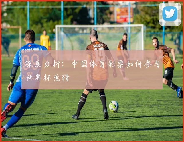 深度分析：中国体育彩票如何参与世界杯竞猜