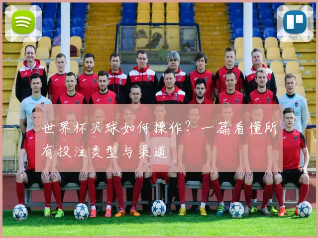 世界杯买球如何操作?一篇看懂所有投注类型与渠道