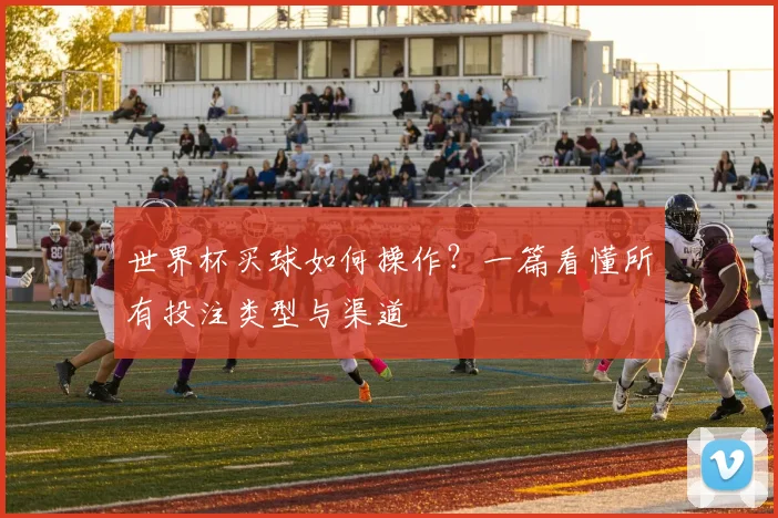 世界杯买球如何操作?一篇看懂所有投注类型与渠道