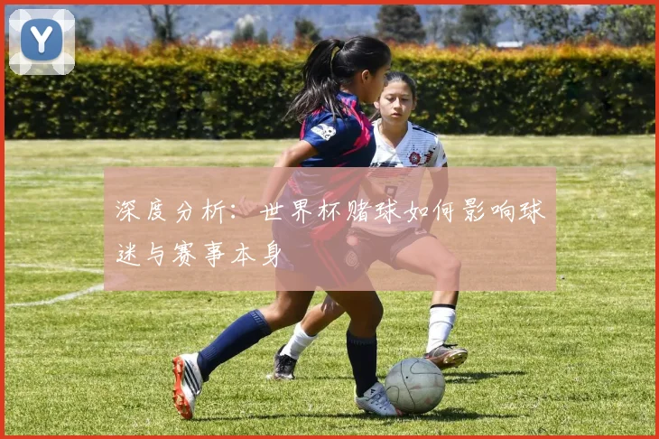 深度分析：世界杯赌球如何影响球迷与赛事本身